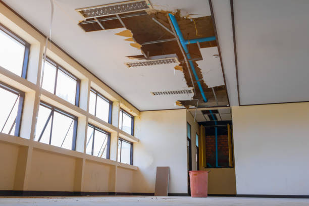 Best Mold removal after water damage  in Glenarden, MD