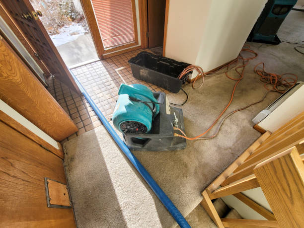 Best Emergency water damage restoration  in Glenarden, MD