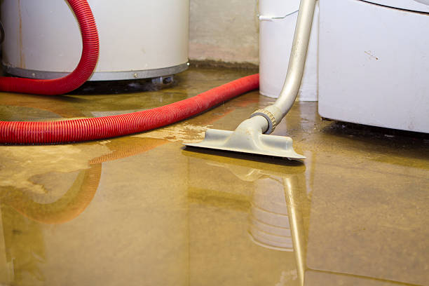 24/7 water damage repair in Glenarden, MD