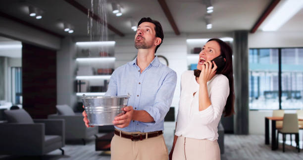 Best Mold removal after water damage  in Glenarden, MD