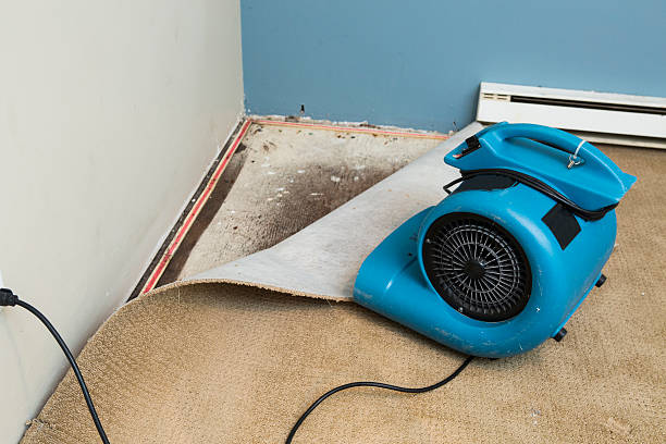 Best Commercial water damage restoration  in Glenarden, MD